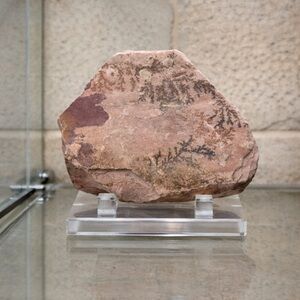 Natural Pink Dendritic Stone Art - Home Accent